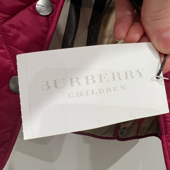 Burberry fall jacket (toddler) - Picture 7 of 8